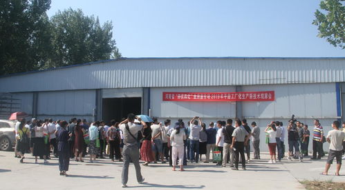 河南省“四優(yōu)四化”科技支撐行動(dòng)計(jì)劃食用菌專(zhuān)項(xiàng)平菇、雙孢蘑菇工廠(chǎng)化生產(chǎn)新技術(shù)觀(guān)摩交流會(huì)暨技術(shù)轉(zhuǎn)讓會(huì)成功召開(kāi)